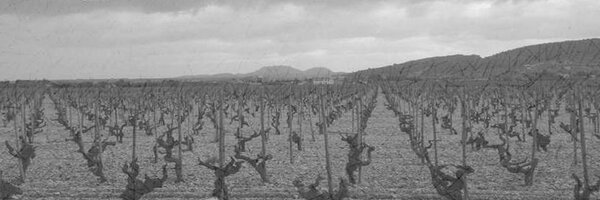 VinosyYo Profile Banner