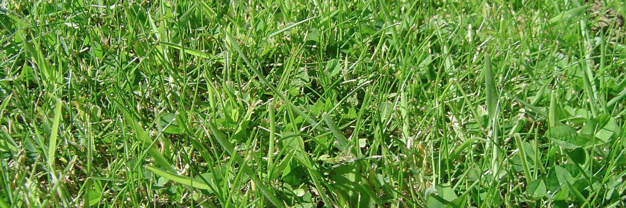 EndOfLineGolf's profile banner image