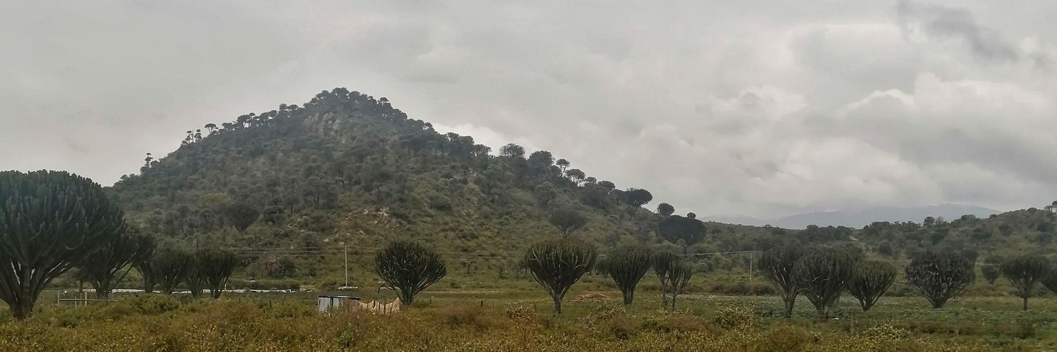 kaboranke's profile banner image