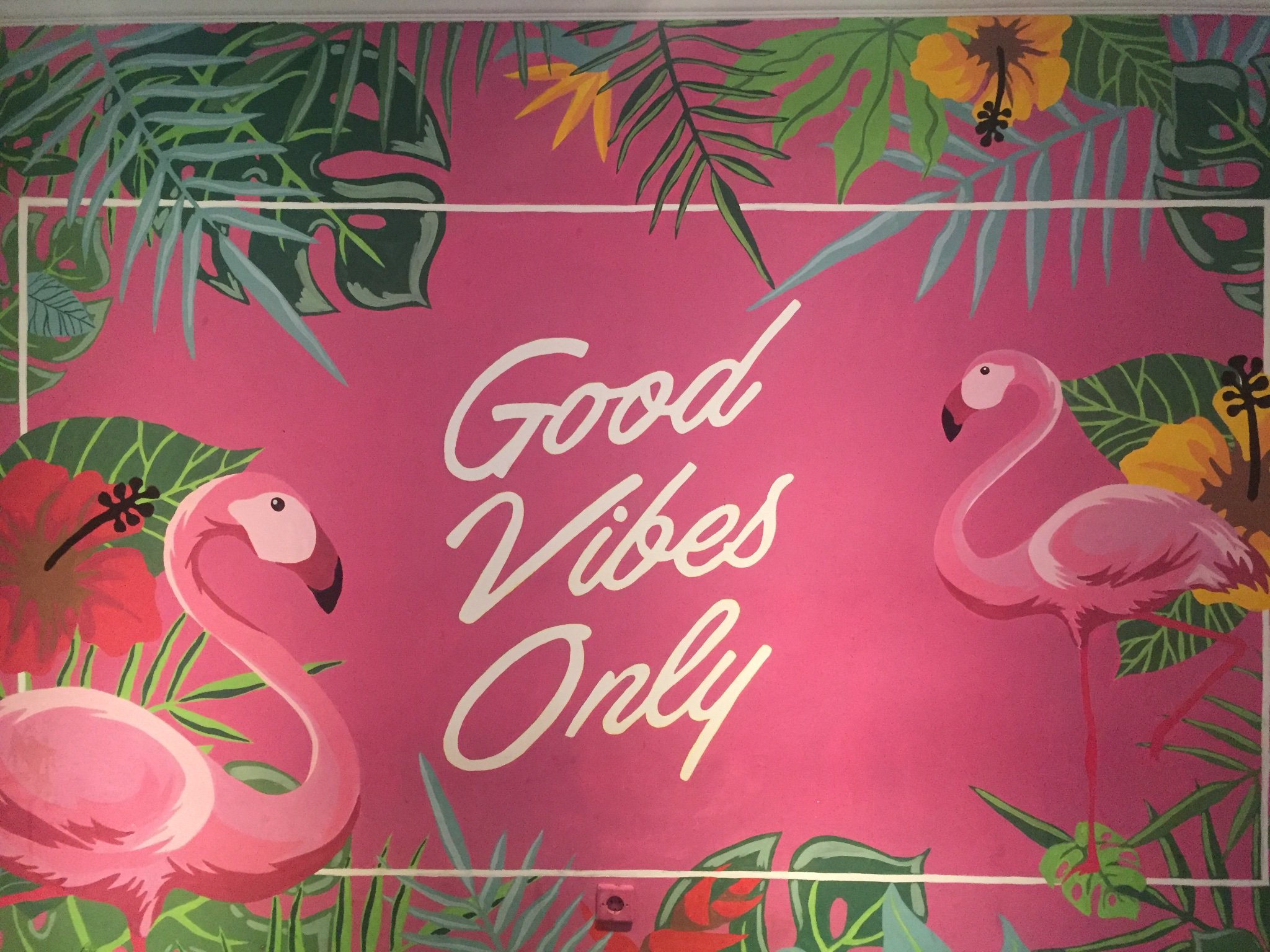vialfiah's profile banner image