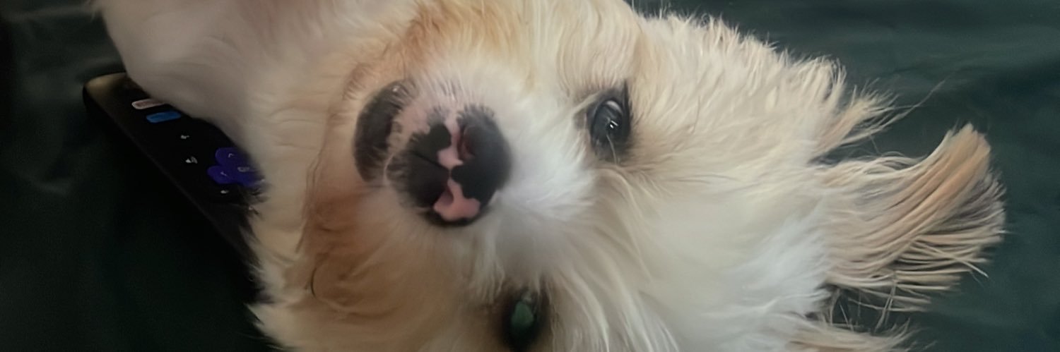 nallupelomundo1's profile banner image
