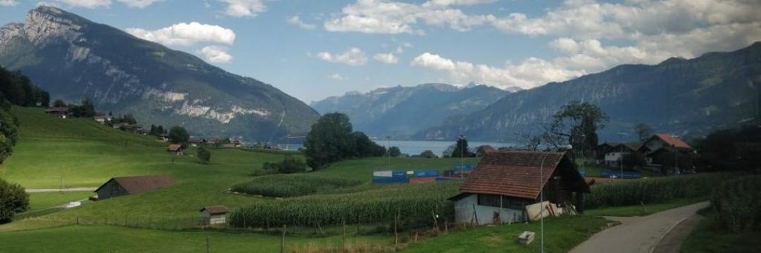 Intekhab Merchant banner