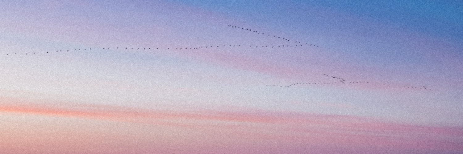 idenxtity0911's profile banner image