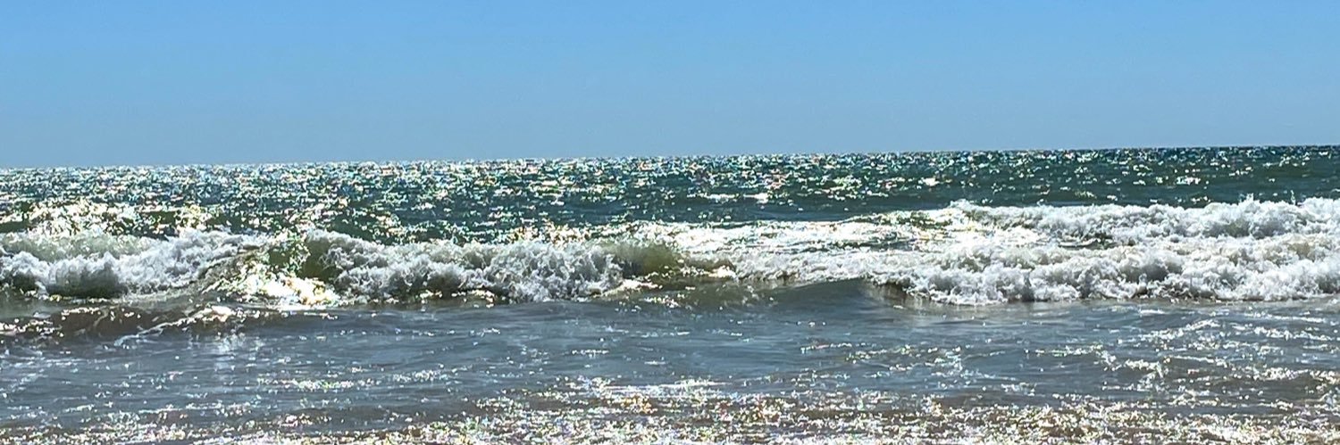 Monica Ortega Segura🇪🇸 banner