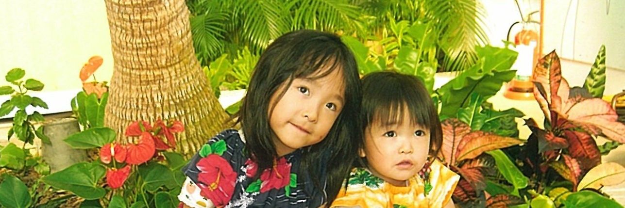 hipparimomo's profile banner image