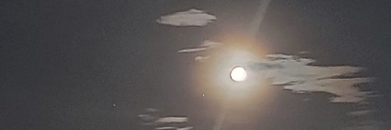 MarioJr1975's profile banner image