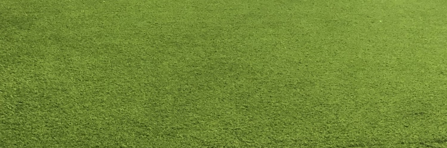 roniyusri's profile banner image