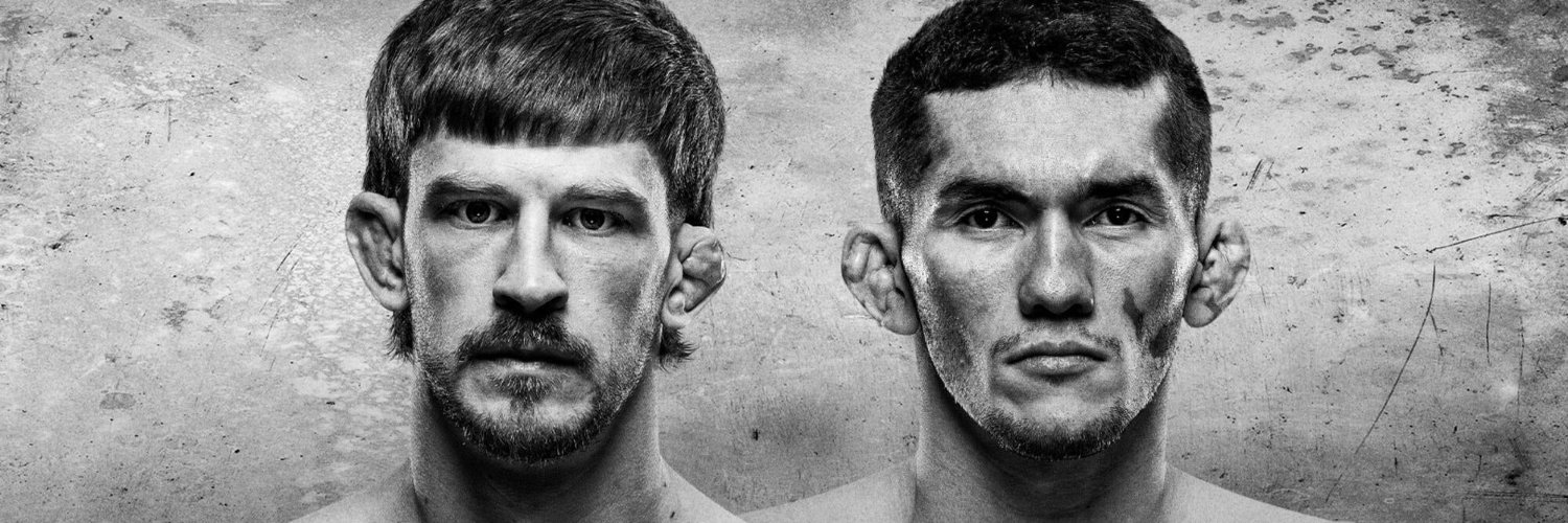 UFC Fans banner