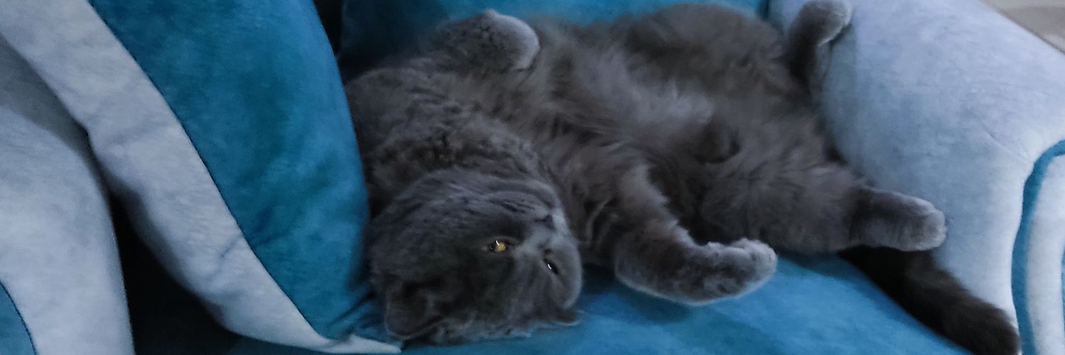 hypogrif's profile banner image