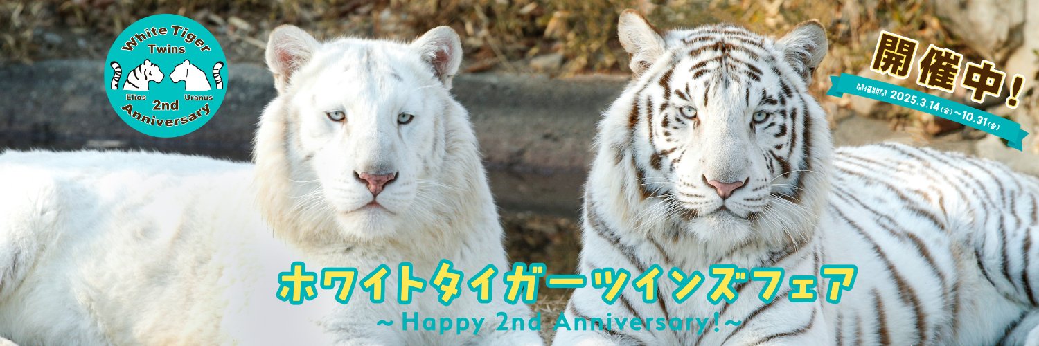 群馬サファリパーク【公式】's banner