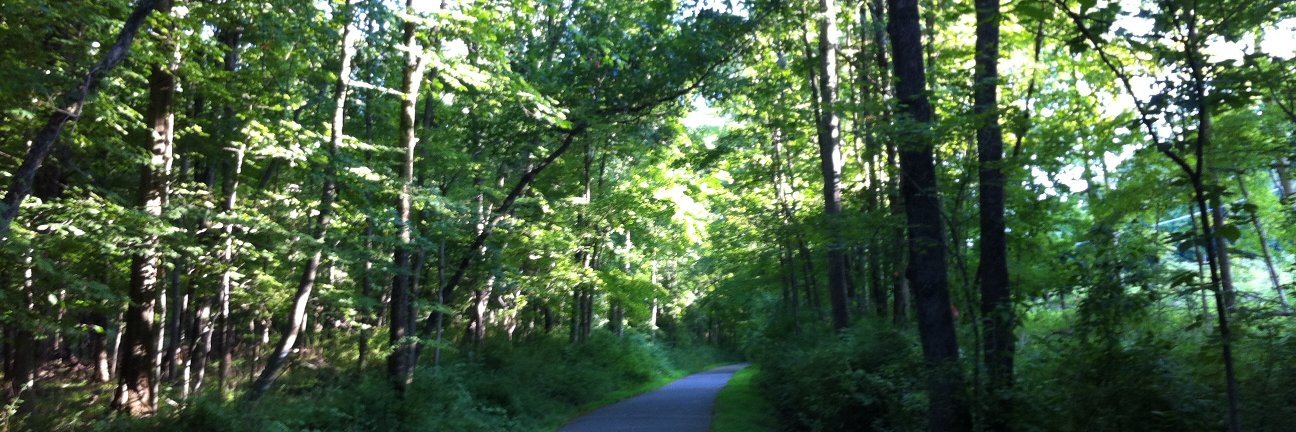 Esmeralda Santiago banner