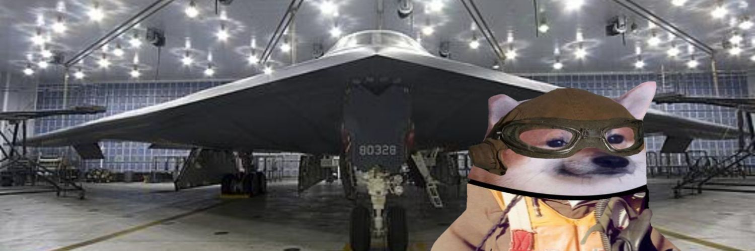 PaxWildcat's profile banner image