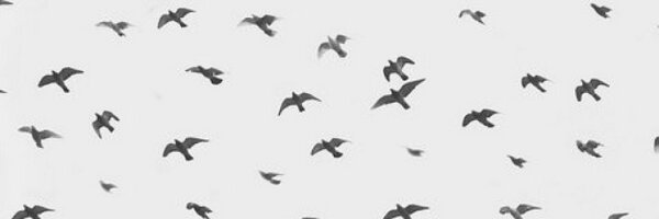 Jeliiithegreat Profile Banner