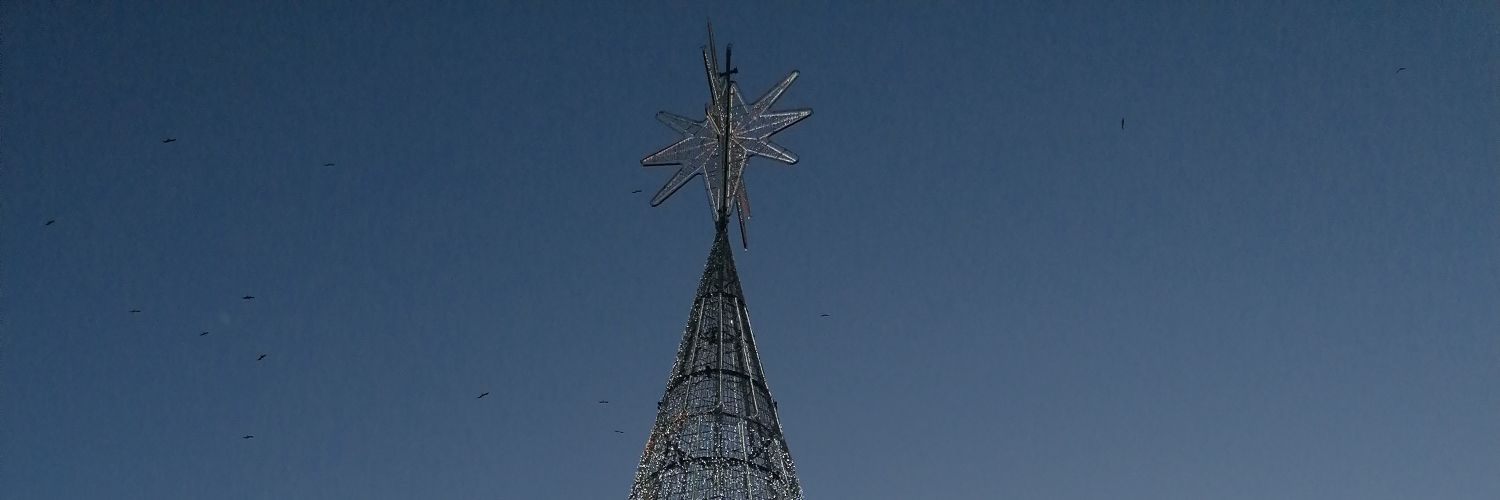 Mdolores Calvente banner