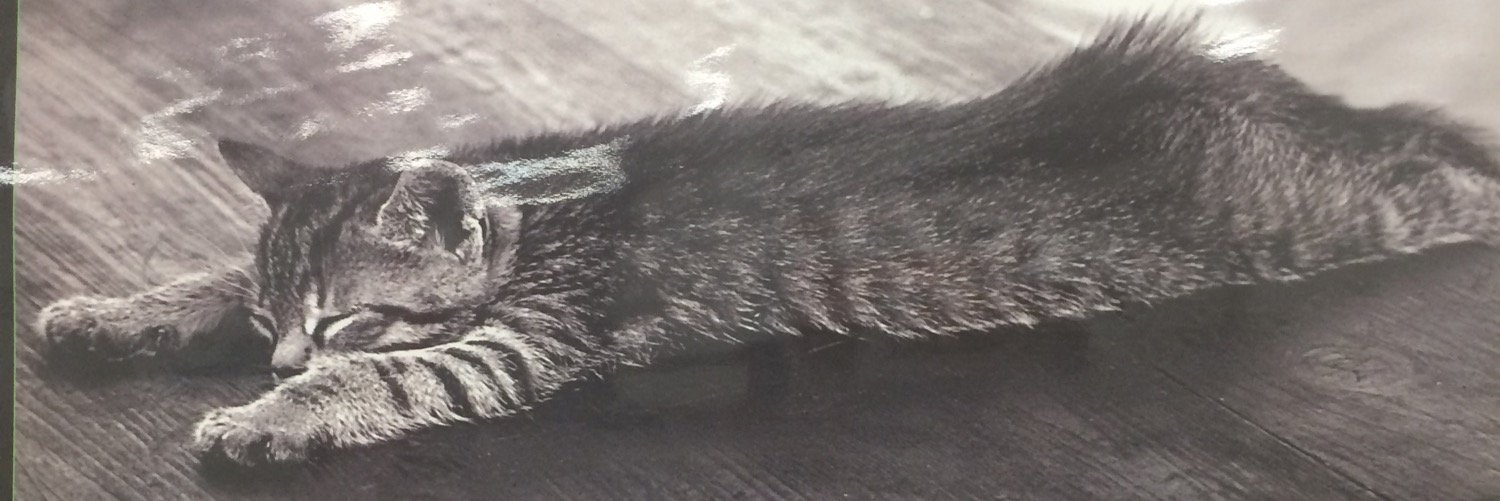 OsterClass's profile banner image