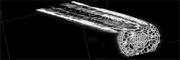 hardtke_lab Profile Banner