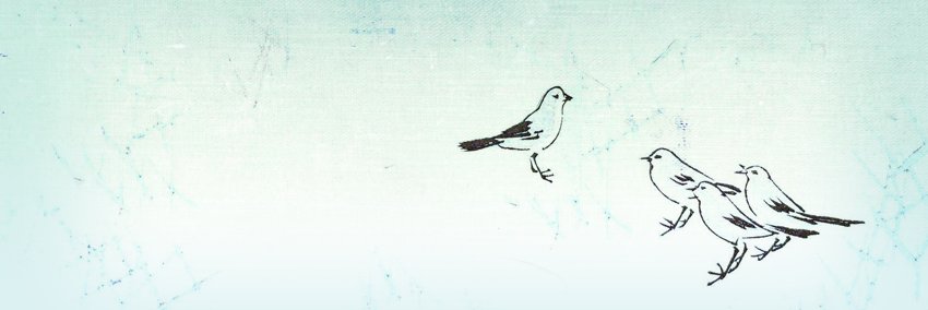 Virginie_Fache's profile banner image