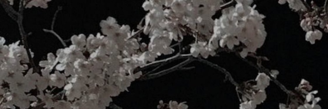 guapsecret's profile banner image