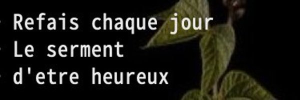 ju17nana Profile Banner