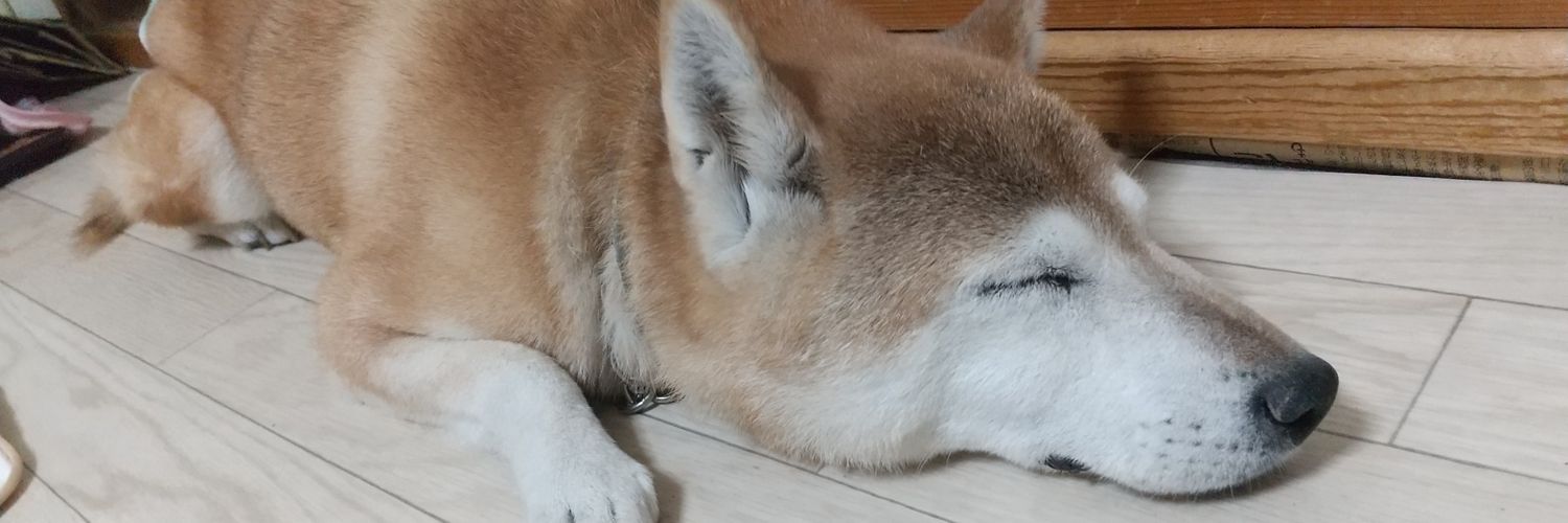 Sakura(さく) banner