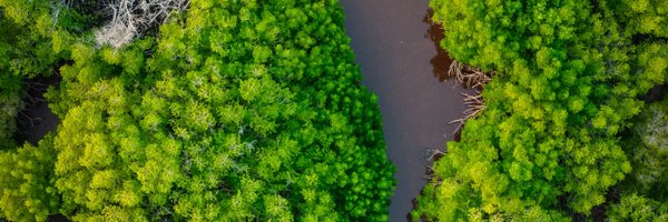 CebaLabex Profile Banner