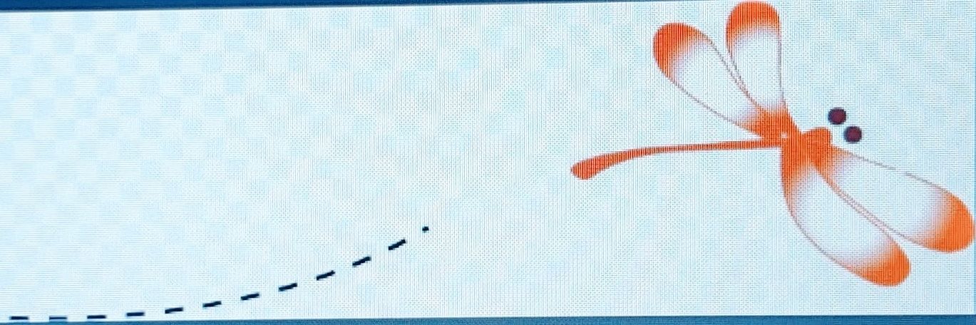 うさぎの土俵🐰 banner