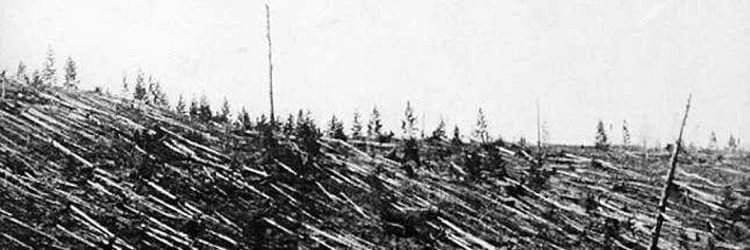 Samuel M. Moss's banner