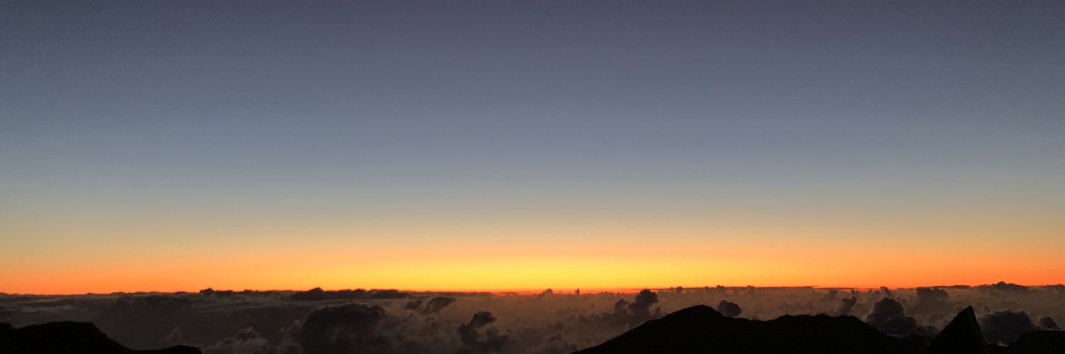 Alexandra Scribani Serao banner