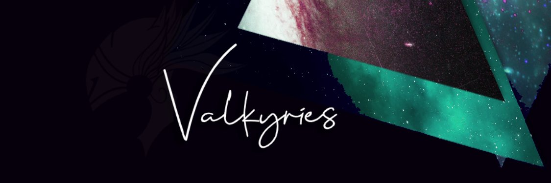 Valkyries Org banner