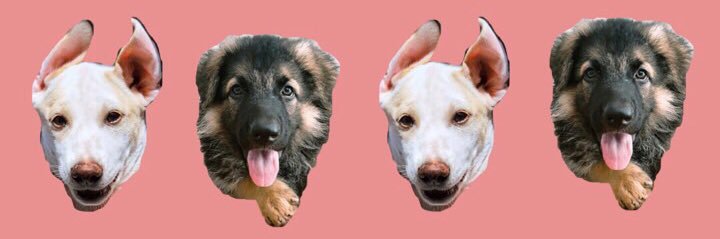 Hash Kaylab Bandara 🏳️‍🌈 🏳️‍⚧️ banner