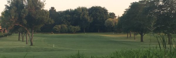 WayneStateGolf Profile Banner