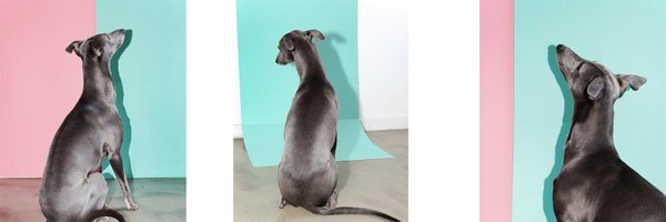 ArtFactsNet Profile Banner