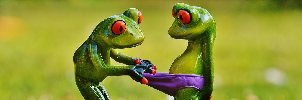 MLMGuild's profile banner image
