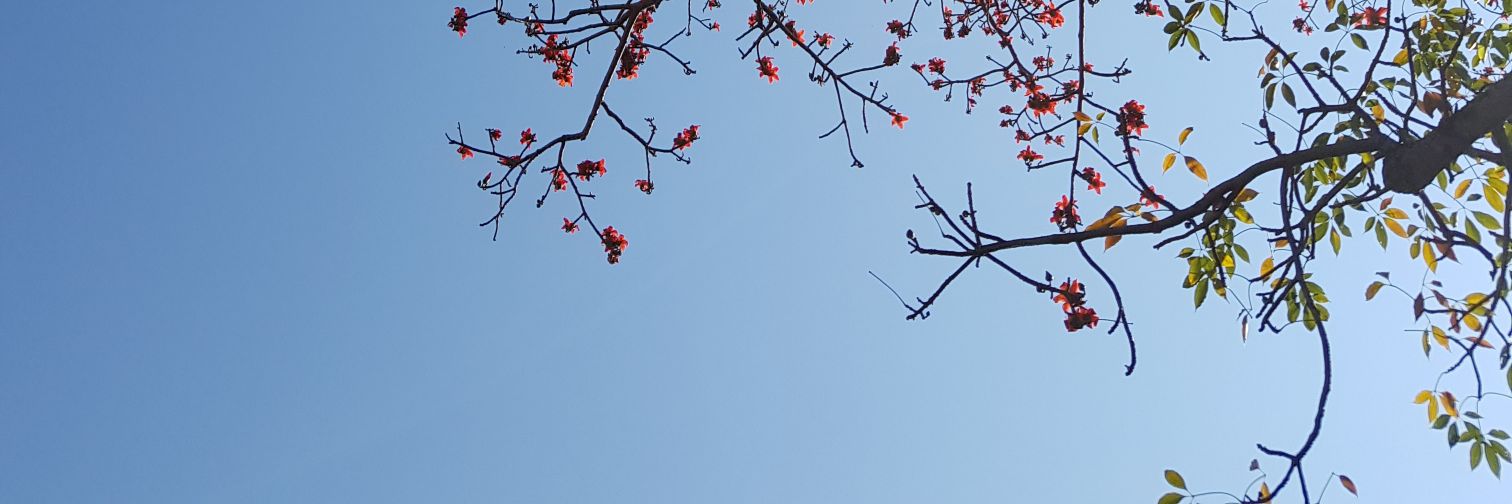 TOOKKOO's profile banner image