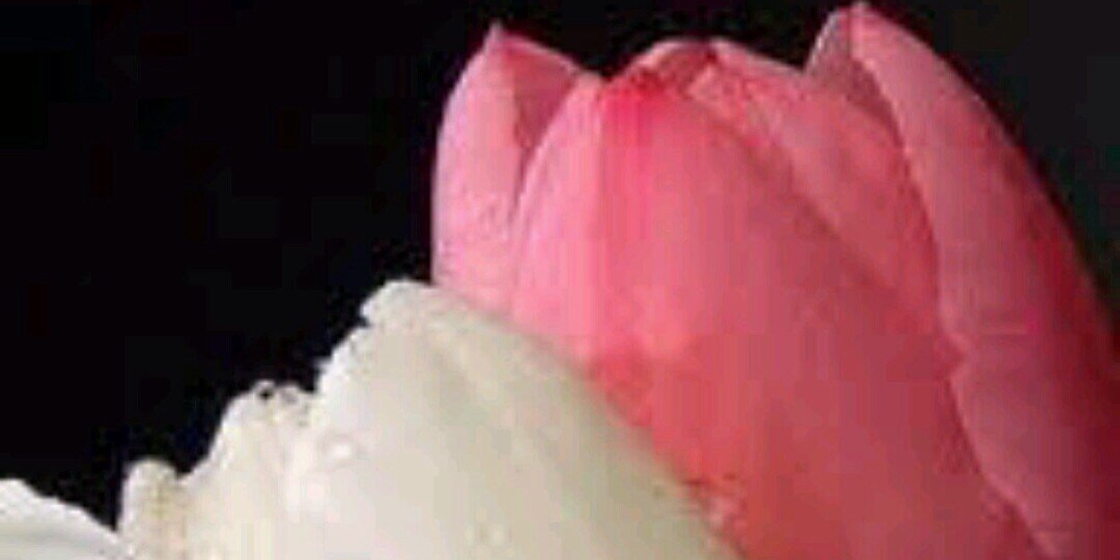 MoOonkalid's profile banner image