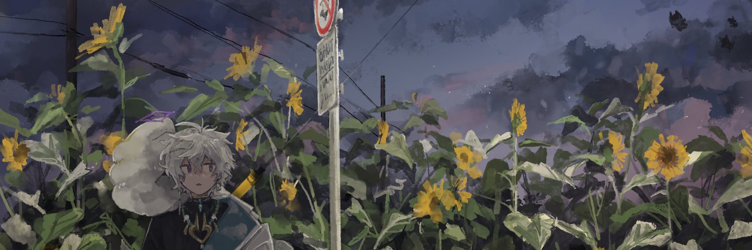 小波 banner