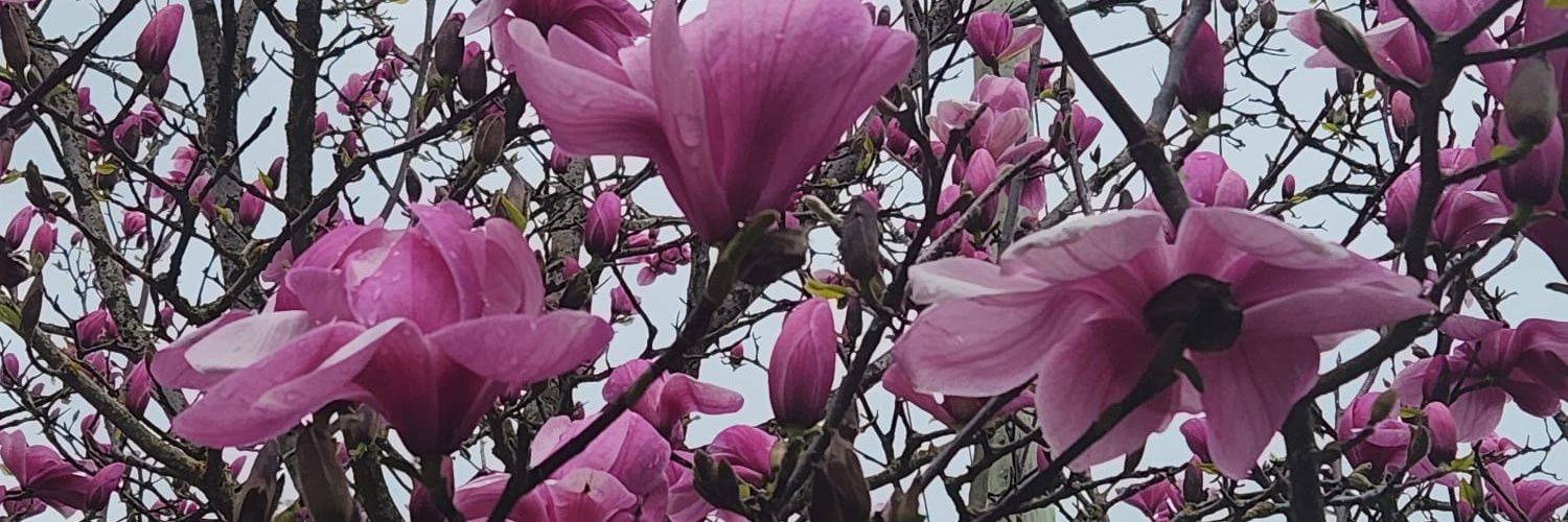 prettyjocee's profile banner image