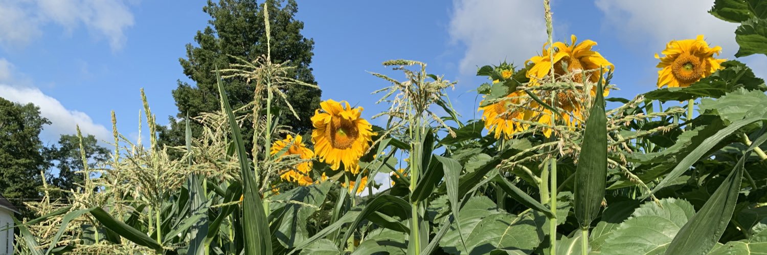 GrowenTimOwen's profile banner image