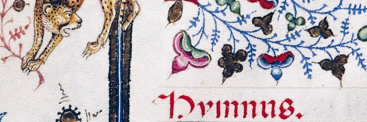 cosetties's profile banner image