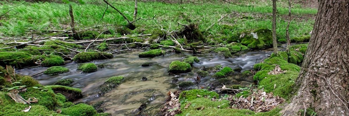 ClearWaterPA's profile banner image