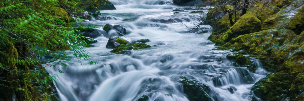 pacificrivers's profile banner image