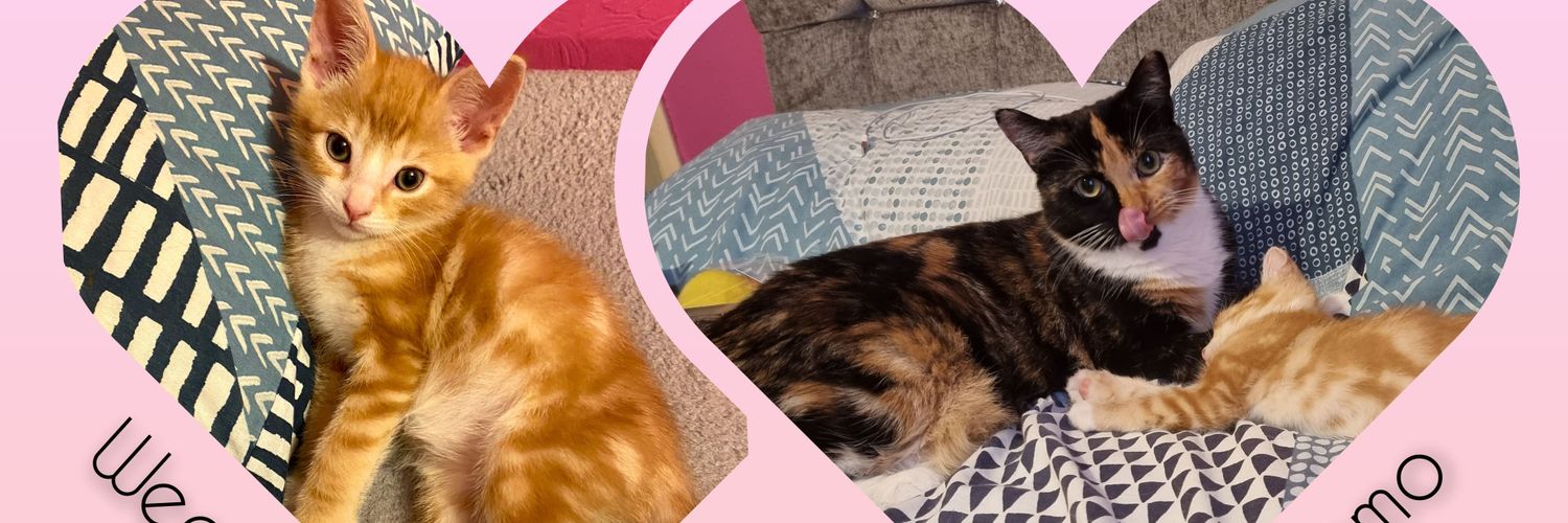 _Jodie_16's profile banner image