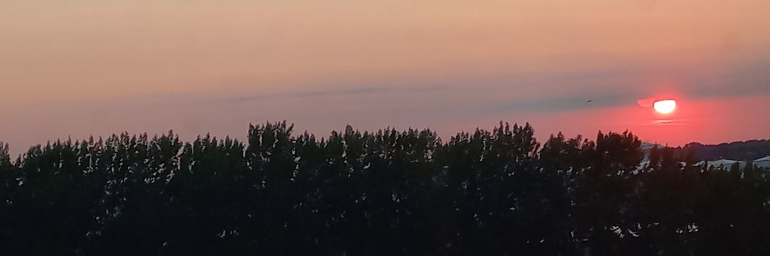 eretnl's profile banner image