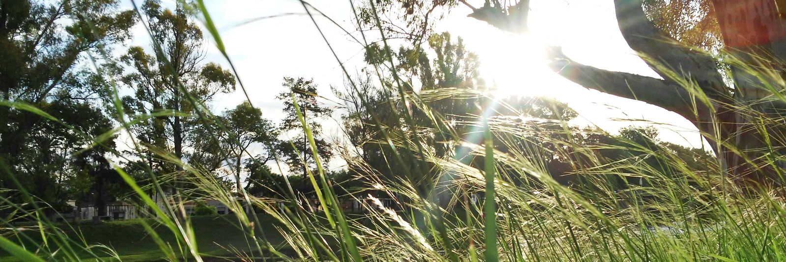 agusgonzalezalt's profile banner image