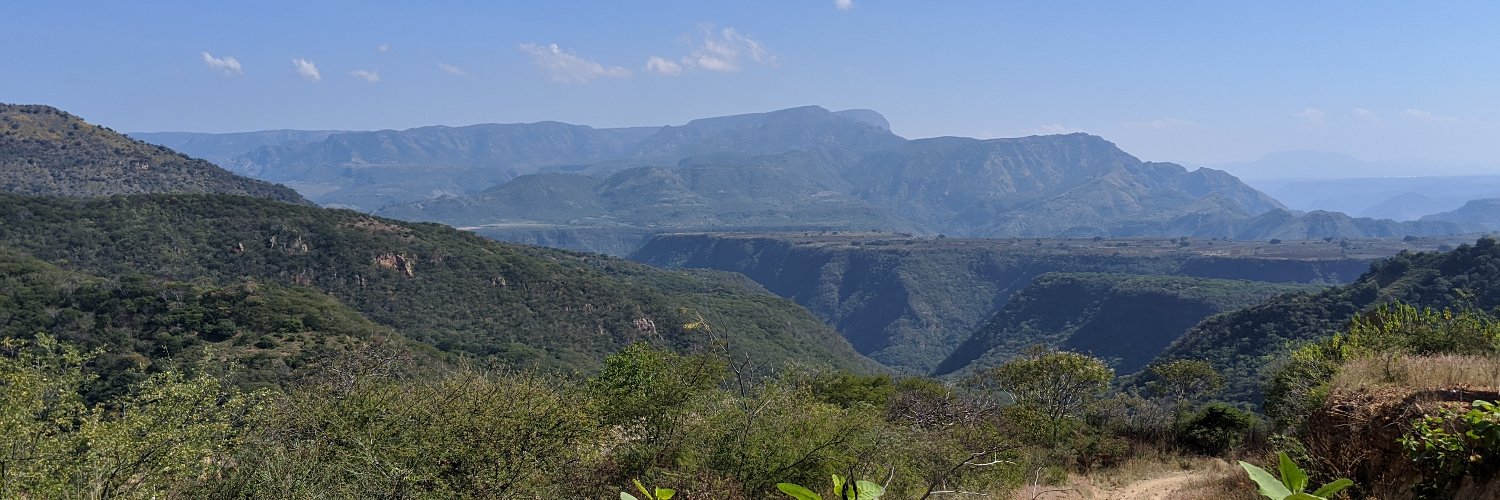 GoGold Resources: Silver & Gold banner