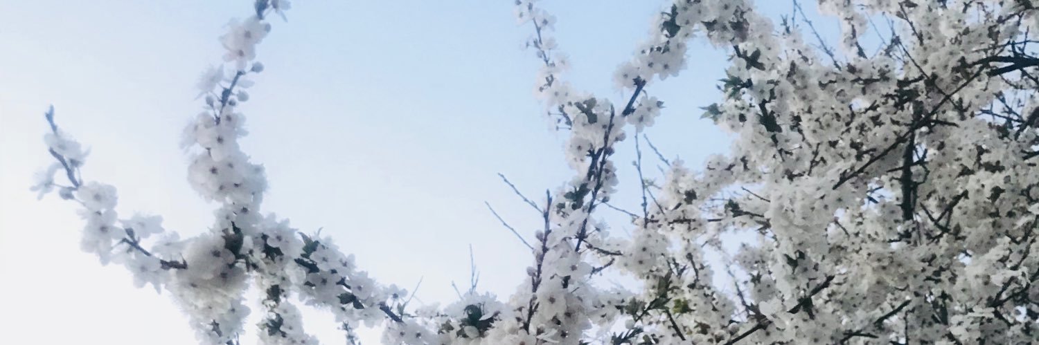 oliiviaaz's profile banner image