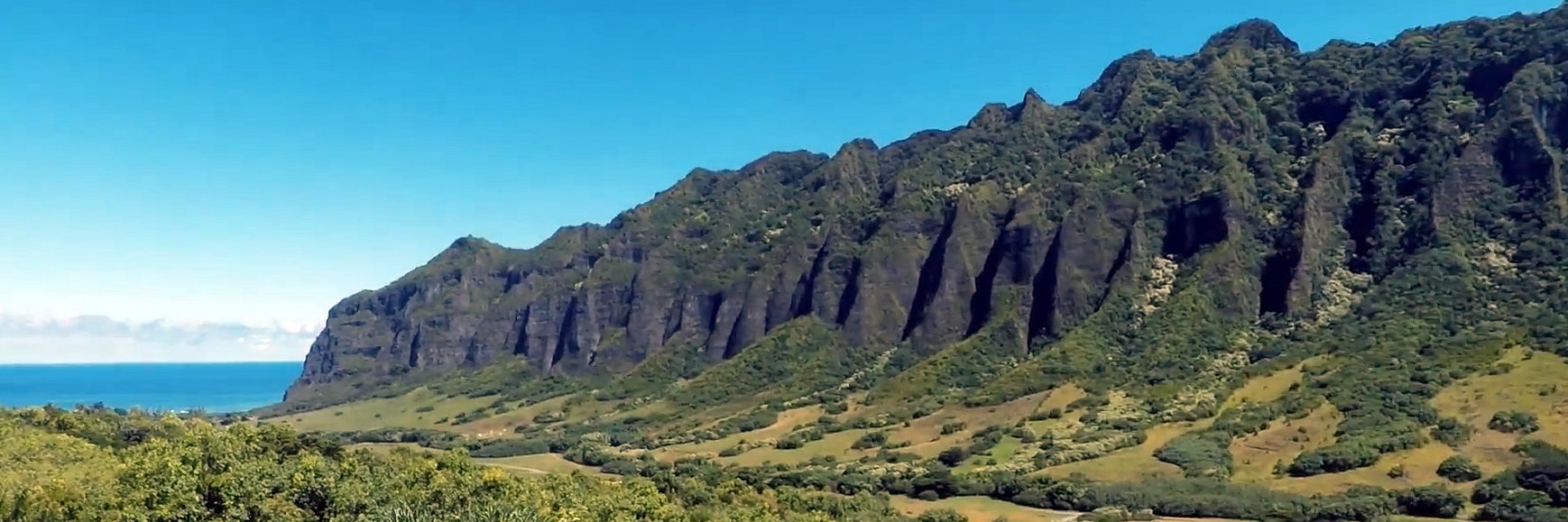 Netámbulo 🦉 (Juanan) banner