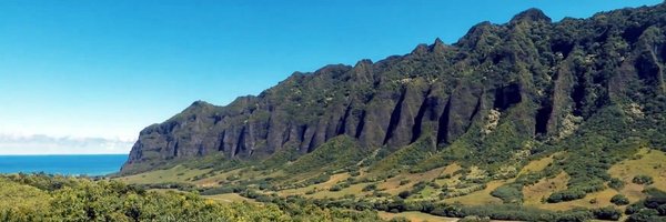 Netambulo Profile Banner