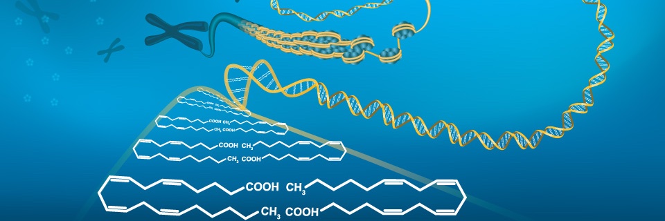 Craig Wheelock banner