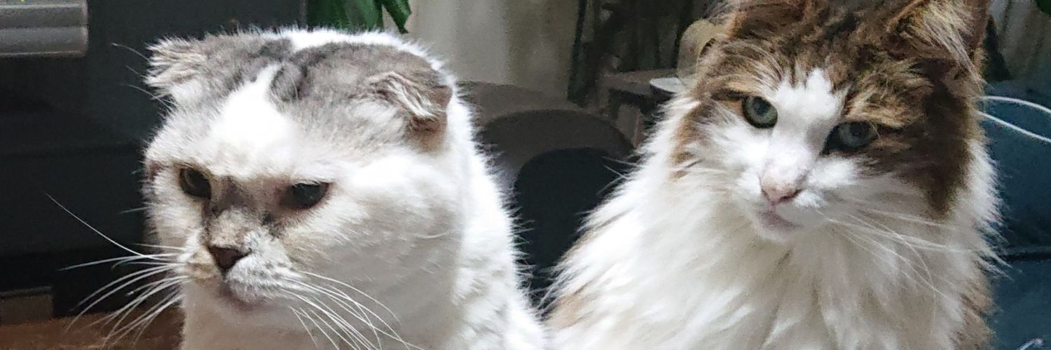 miemilktococowa's profile banner image
